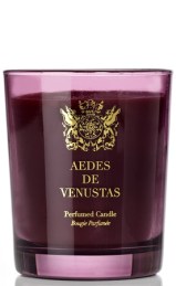 candle_aedes